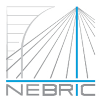 NEBRIC client-image